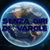 SenzagiridiVARole