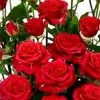 natiagelashvili93