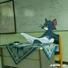 lazymaninaroom