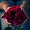 madymdlddarose