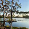suvantoko