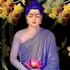 duysang941