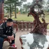luongdoanh226