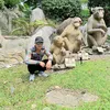 thanghip.98bg