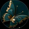 marwa2020591
