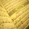 ummhamed00