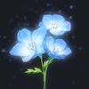nic_viewries