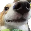 alpacav3