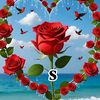 shazia.khan0750