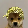 kwaz_27