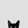 mbahkucing7