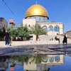 palestine7_10_2023