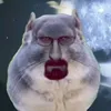 vceeveecec69