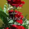 user9081807486176