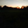 reynaldy245