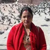 kuntimajhi446