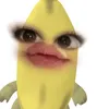 prxpatmen