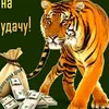 ivanstrogonov361gmail.co