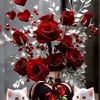 user8540790600431