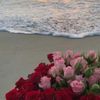 fatiim062