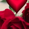 user1613258007861