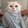 satboyhaimai