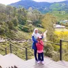 linjaybee