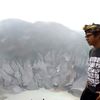 jalisedale
