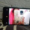 felisha732
