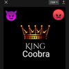 kingcoobra12