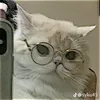 cyann117