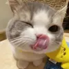 (≧◡≦) ♡