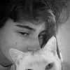 qwesdzv