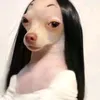 ferrettigoat