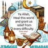 khadija.alberts