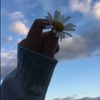 aracelyorella440