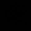 ggfgv_44
