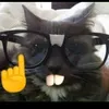 mr_lobsterblue