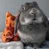 i.lovemybunny