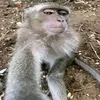 stzkkkjk