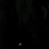 udfldnd33