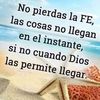 luisvera8855