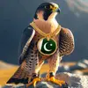 princeroohullah83
