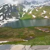 rugovakulici