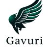 gavtrans01