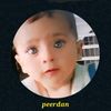 warsipeerdan