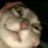 justdilll_