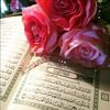 hananalabed706