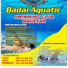 subali153