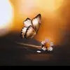w_assila0